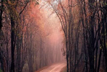 爱游戏官网：[综合]2025年世界运动会巡回赛（成都站）落幕.