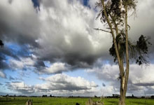 [NBA]莫兰特继续缺阵 灰熊大胜爵士.