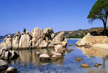 爱游戏官网：(体育)篮球——CBA常规赛：天津先行者胜吉林九台农商银行.